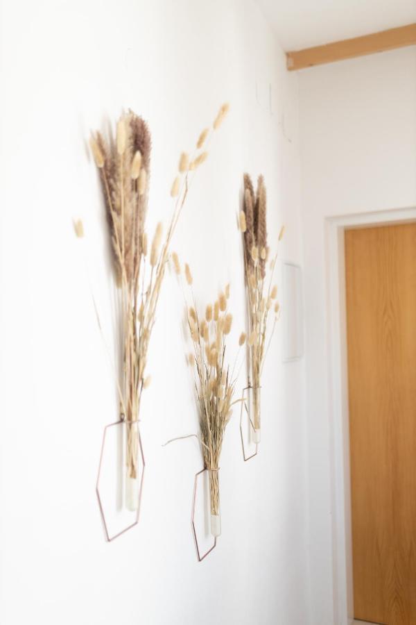 זנוימו Apartman V Srdci Znojma „Jako Doma“ מראה חיצוני תמונה
