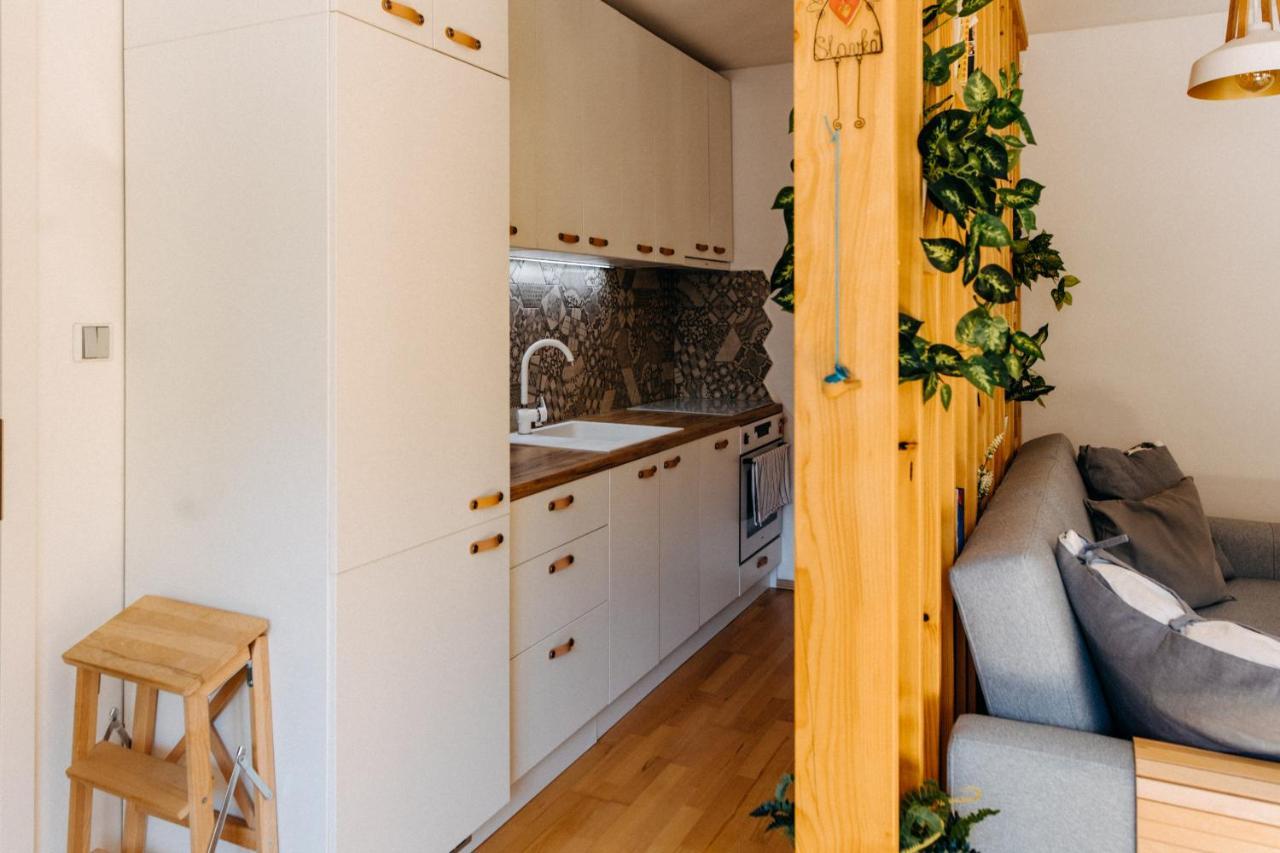 זנוימו Apartman V Srdci Znojma „Jako Doma“ מראה חיצוני תמונה