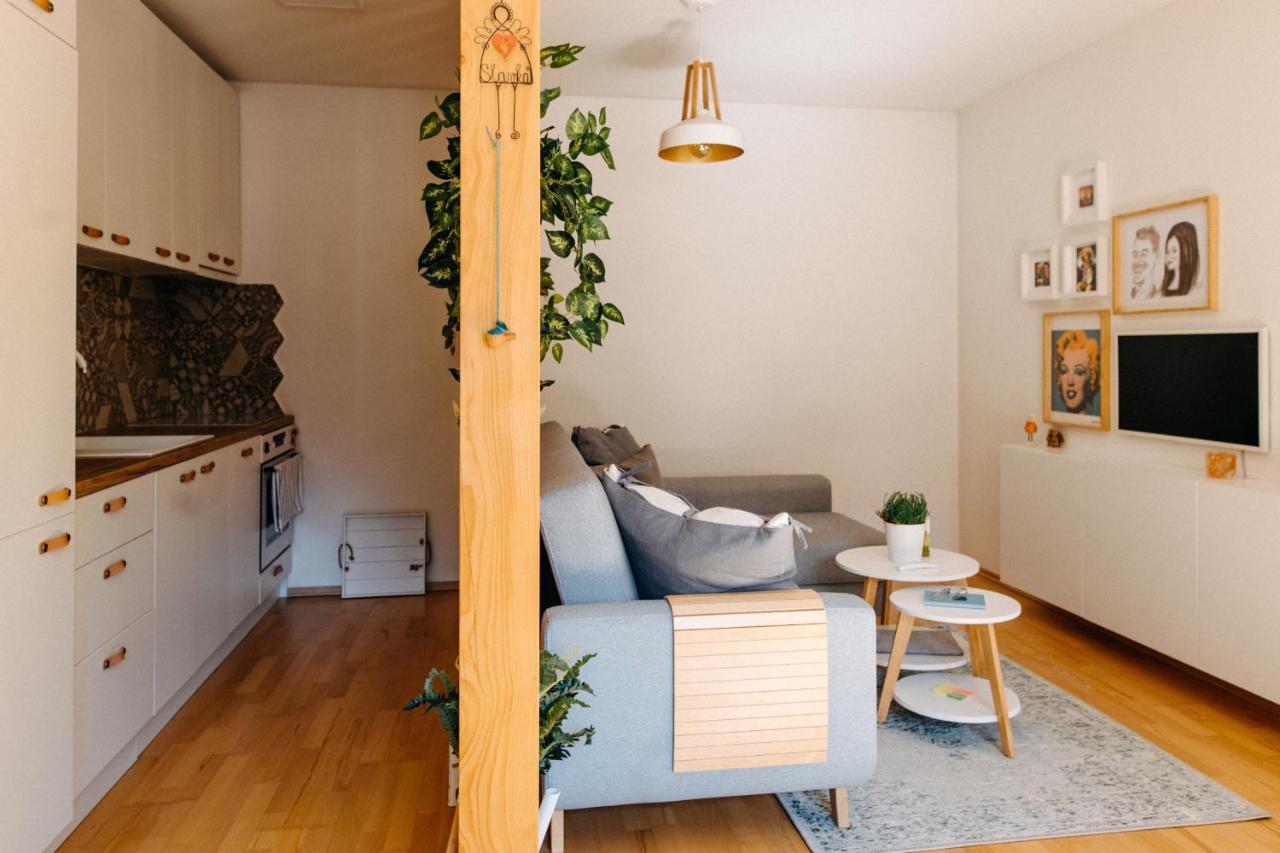 זנוימו Apartman V Srdci Znojma „Jako Doma“ מראה חיצוני תמונה